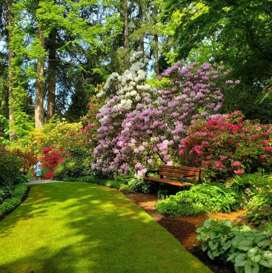 The Glades Woodland Garden, Canada